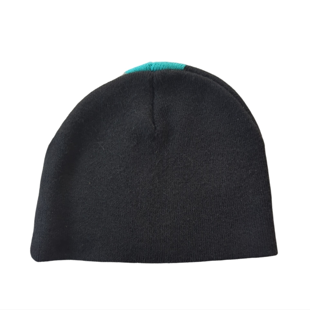 Disney Phineas and Ferb Colorblock Beanie Hat OS BOYS Black Gray Teal Platypus - Picture 2 of 7